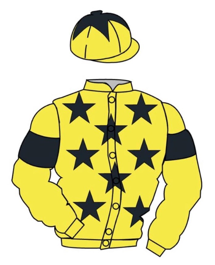 Stewkley Racing Syndicate colours
